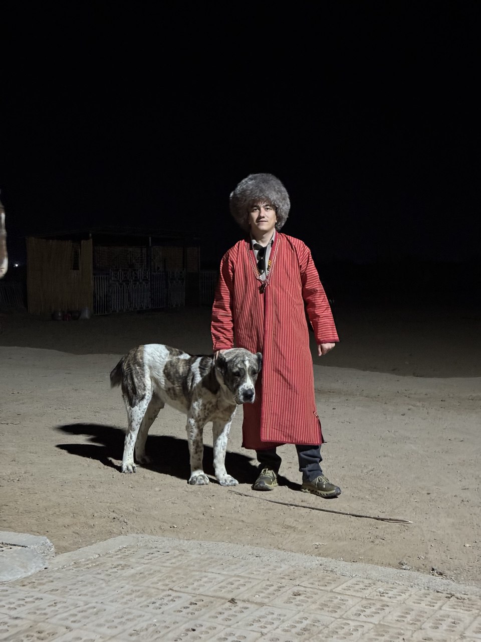 Alabay turkmeno