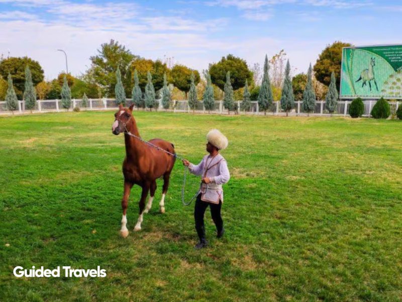 Turkmenistan (8)