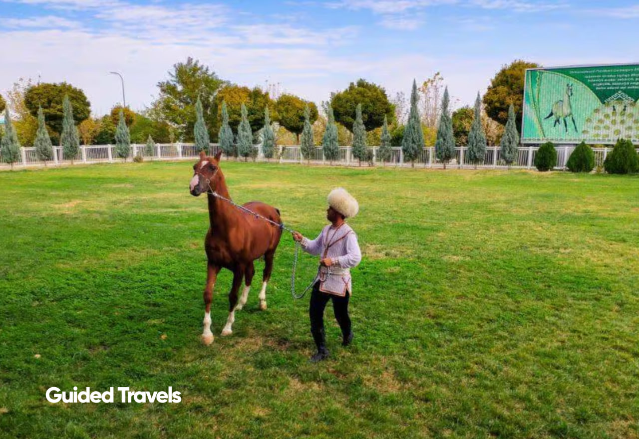 Turkmen people and Akhalteke horses