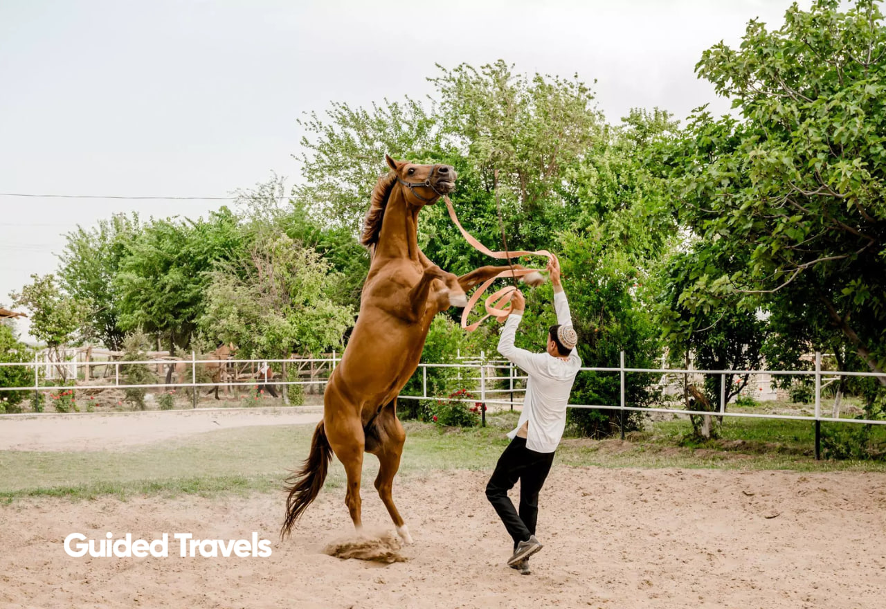 Turkmenistan travel experience