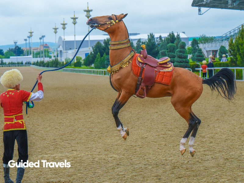 Turkmenistan’s legendary Akhal-Teke horses